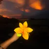 msnbsb2