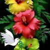 gayan8455