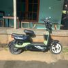 nefandacelloputra1