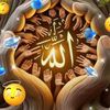 user684062969