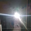 sophiax909