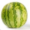 _melonus_