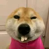 nguyenkimngan0511210