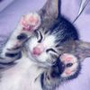 .nailaasyifa