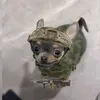 guijerminho_123