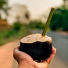 Nature Vibe In Sri Lanka