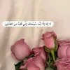heshwkhdr