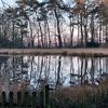 anneke3913