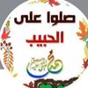 ya.rab801