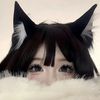 koyomi_bug