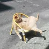 AfterworkVideos