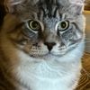 samantha02706