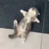 dar.ling_zzz