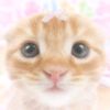 taylor1373149