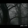 rv09155