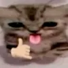 bonoari4