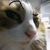 _nose122