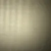 nels_20241
