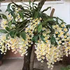 haimua5585