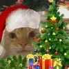 teodoro_ast2