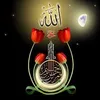 fazel.rehman.sale