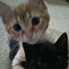 videos_con_sentido