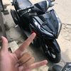 tedyboys