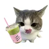 dfntly_not_jiji.ong