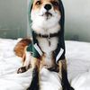 mari.the.fox7