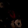 el.unico_chikio_pool.tyc