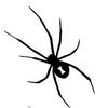 widow2xx