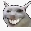 pquy31