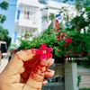 .rupkotha55