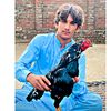 zaibi_21_4