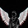 ckshadow6