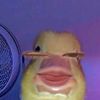 hdgvhjjhddtiktok