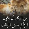 tayeb.tounsi