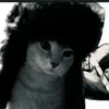 shenzycx