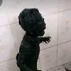 tomsmagalhes0