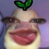 yanny_baee