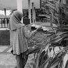 syafarowrr7