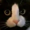 jhacealbert0