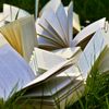 gimmespicybooks24