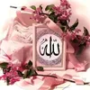 hafizshabir827