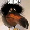 ya_invalid777