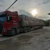 trn.vng459