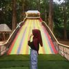 febi_420