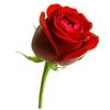 mohammad.osman072