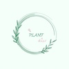 plant_tabuk3