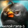 popa_hohoho